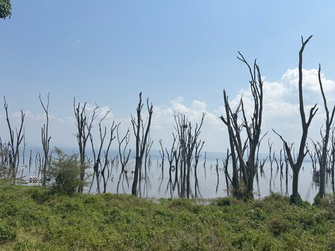 Afrika Sights and Adventures-蒙巴萨必去景点