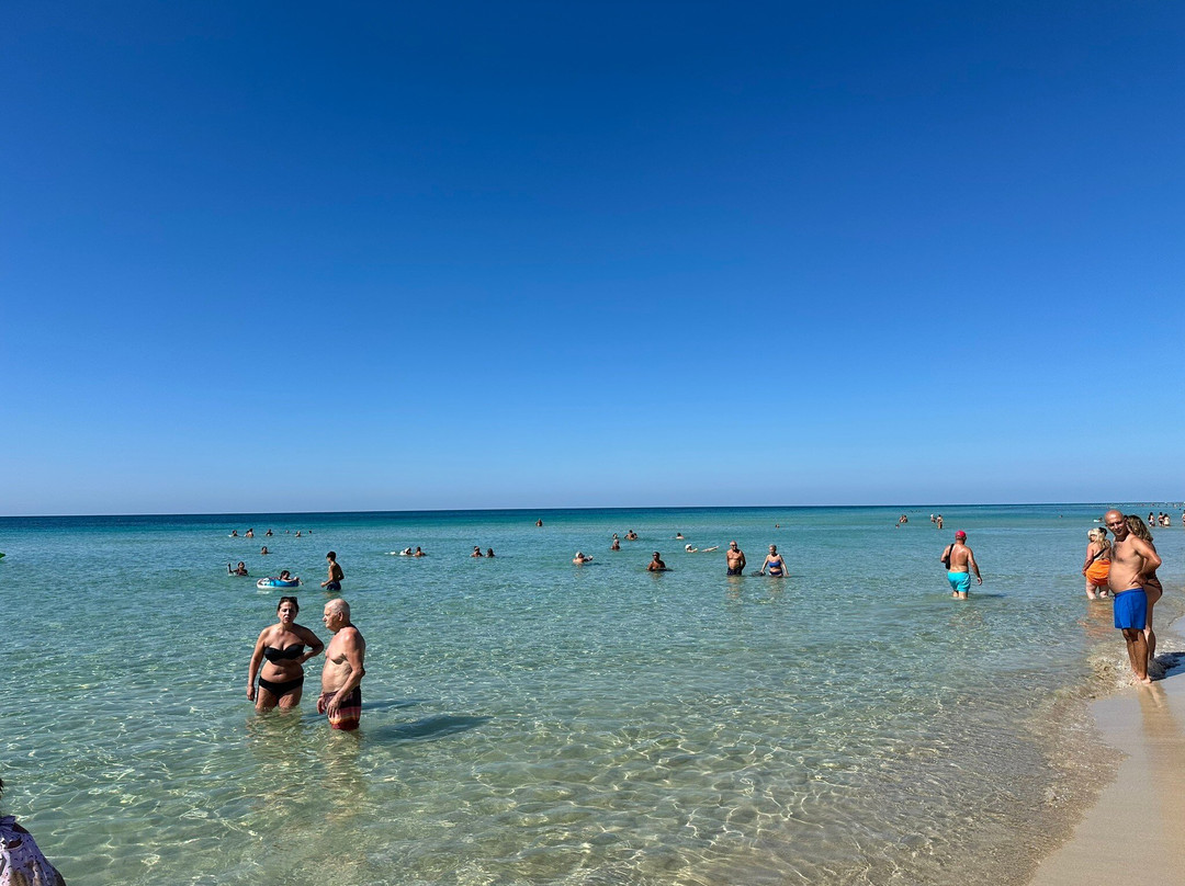 Magico Salento