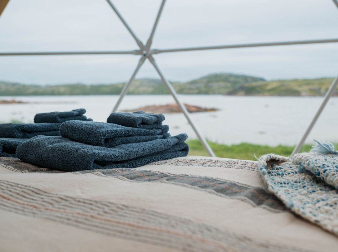 Salmon Bay Farm-Salmon Bay必去景点