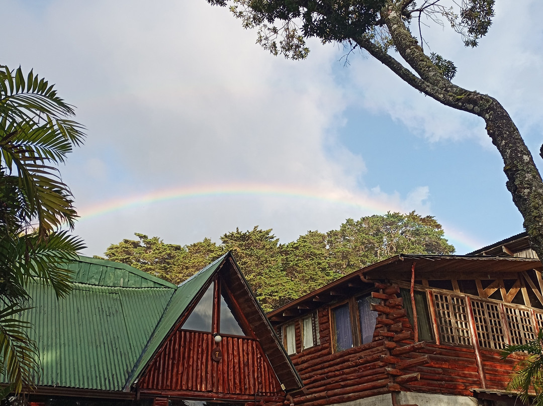 Cabañas Las Ardillas主图