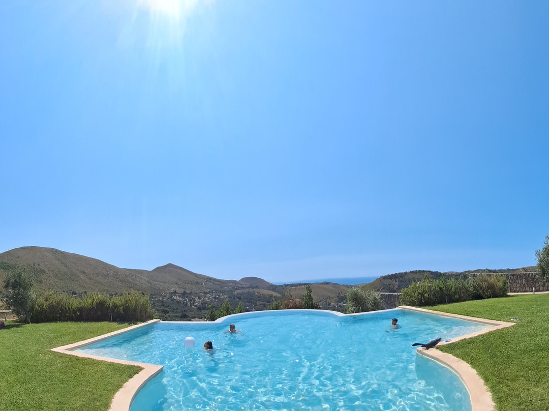 Collina degli Ulivi主图