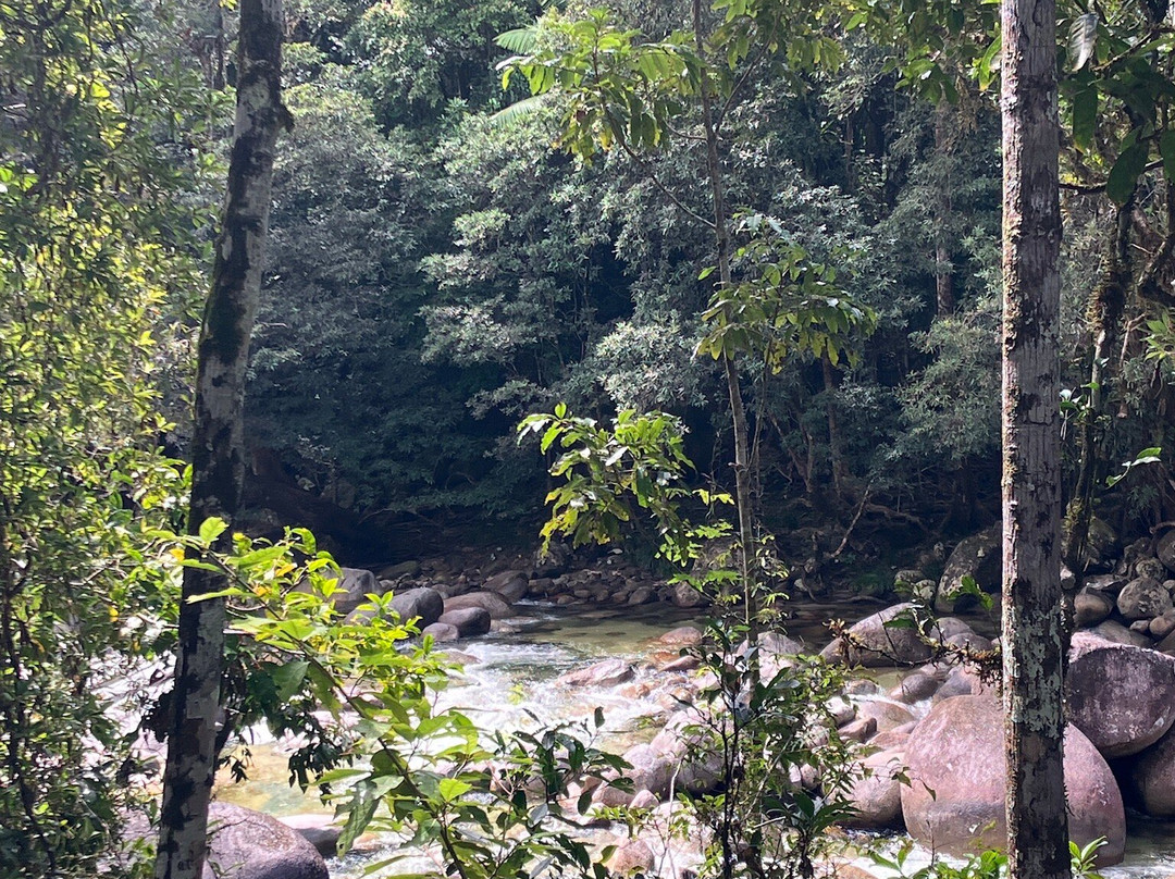 Mossman Gorge-道格拉斯港必去景点