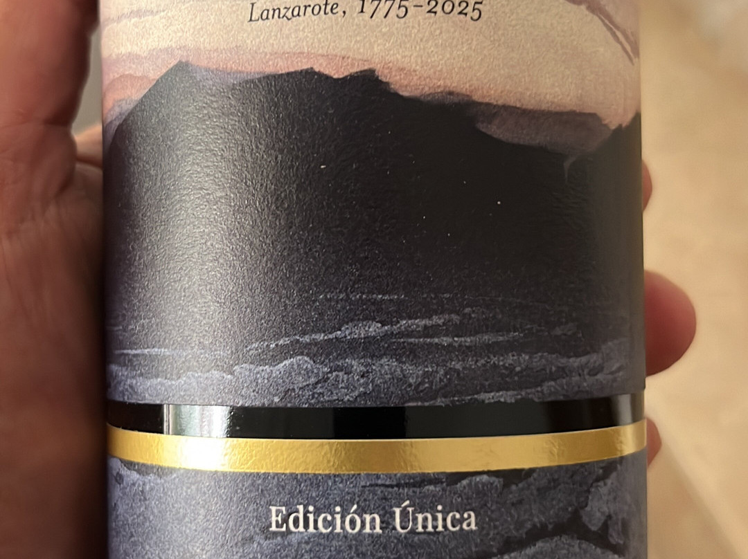 El Grifo - Museo del Vino-San Bartolome必去景点