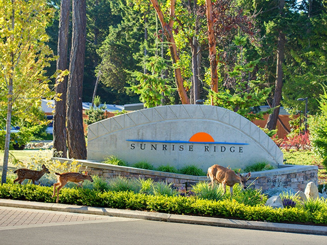 帕克斯维尔酒店住宿-Sunrise Ridge Waterfront Resort