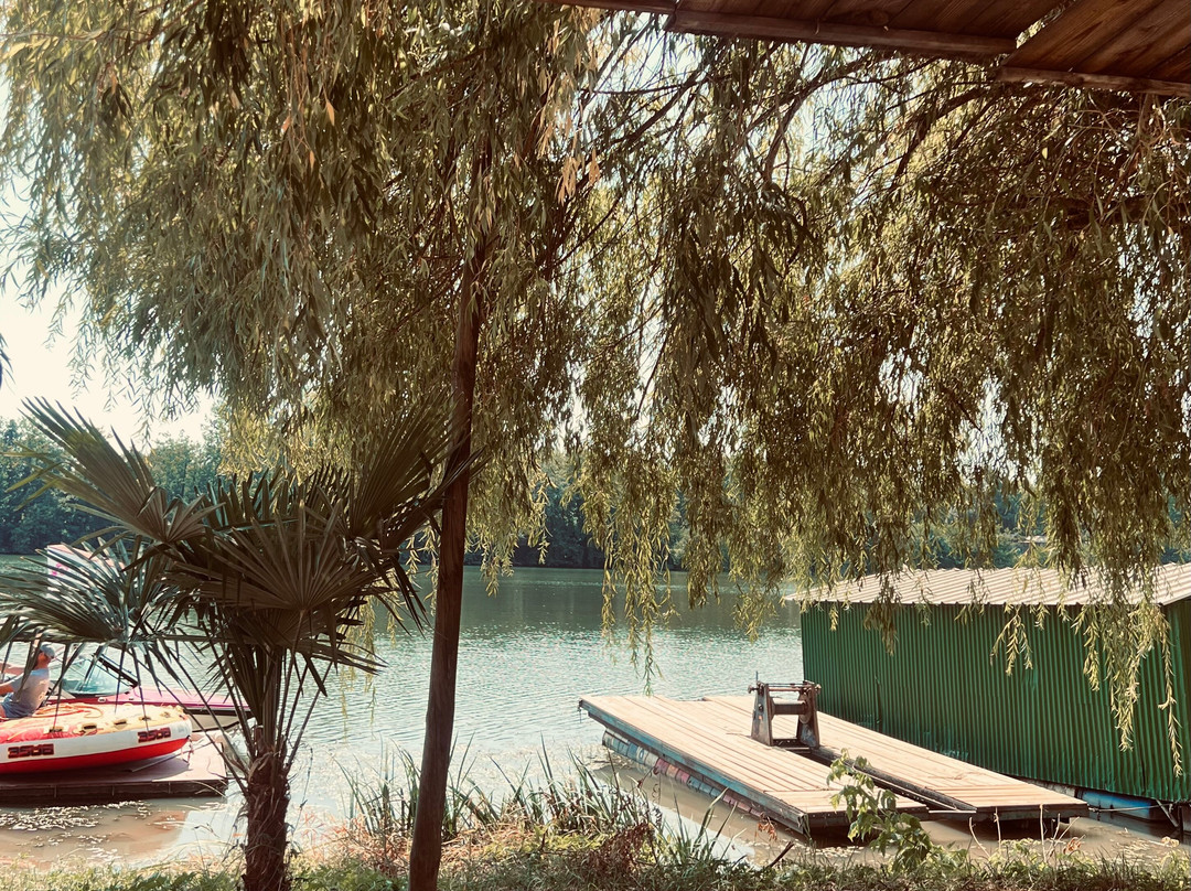 Moissac ski nautique-Moissac必去景点