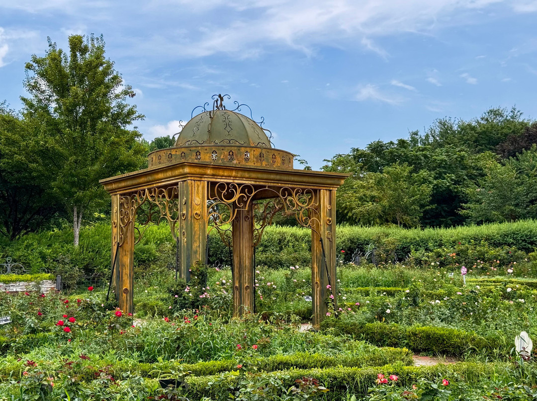 Hanbat Arboretum-大田必去景点