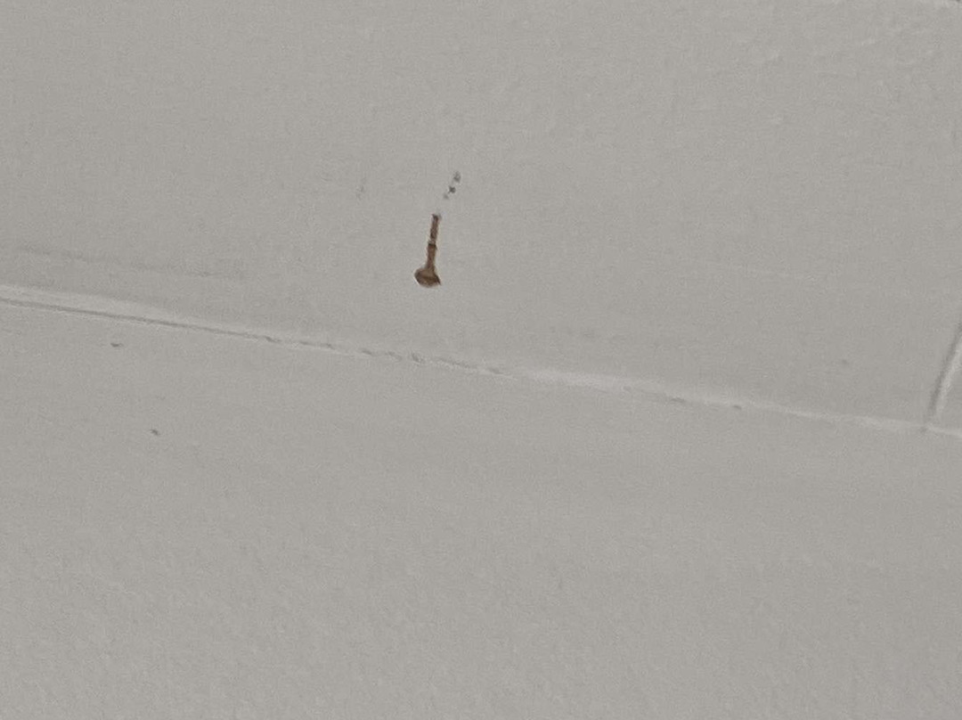 散库斯贝德酒店主图