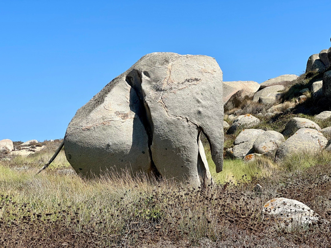 Consorzio Delle Bocche-圣特雷莎加卢拉必去景点