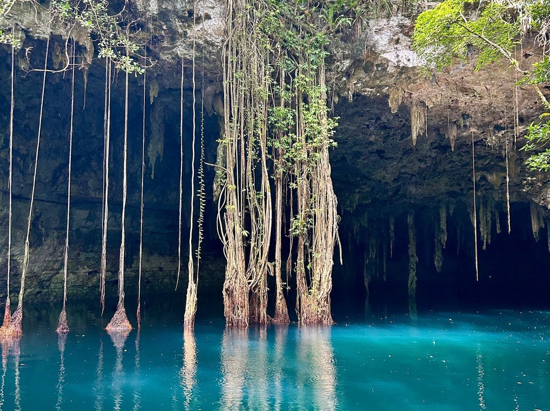 Experiencia Privada en Cenote Exclusivo-巴利亚多利德必去景点