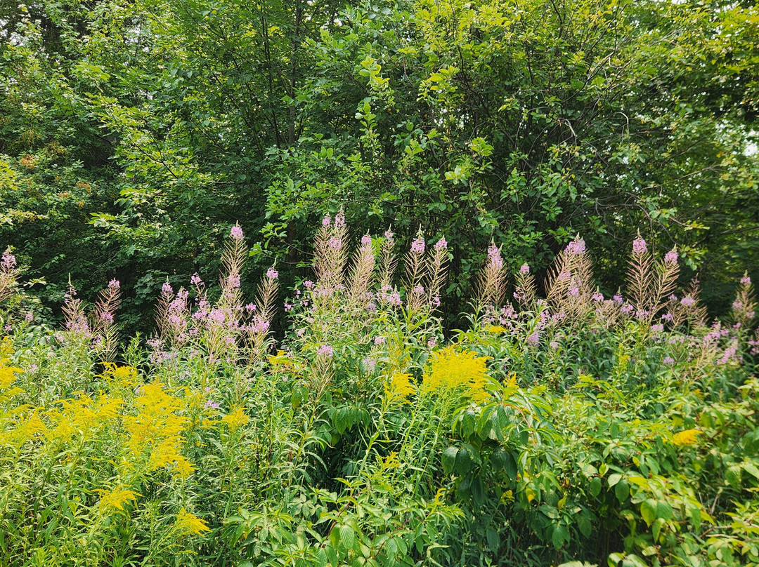 Whycocomagh Provincial Park-East Lake Ainslie必去景点