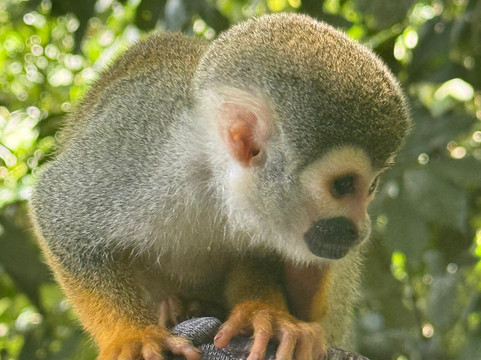 Siempre Colombia SAS-莱蒂西亚必去景点