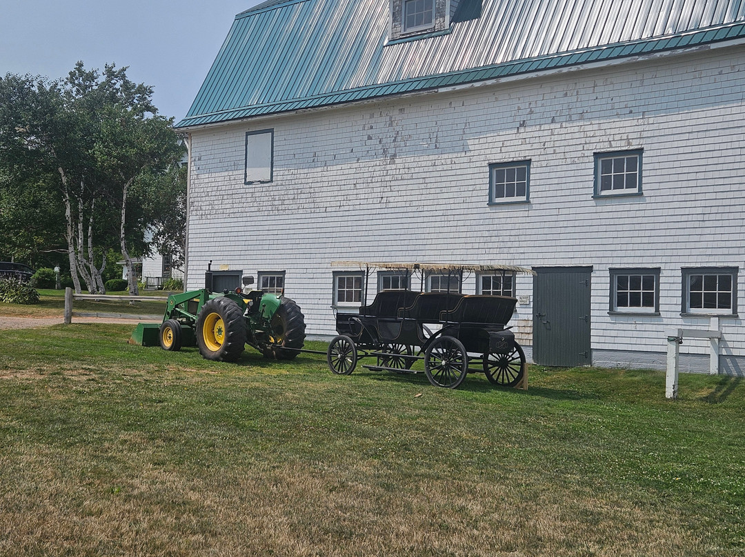 Matthew's Carriage Rides-Kensington必去景点