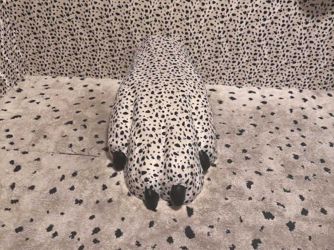 Home Of The Dalmatian Dog-希贝尼克必去景点
