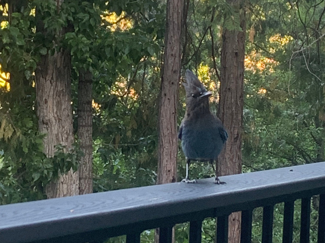 优胜美地大溪住宿加早餐旅馆主图