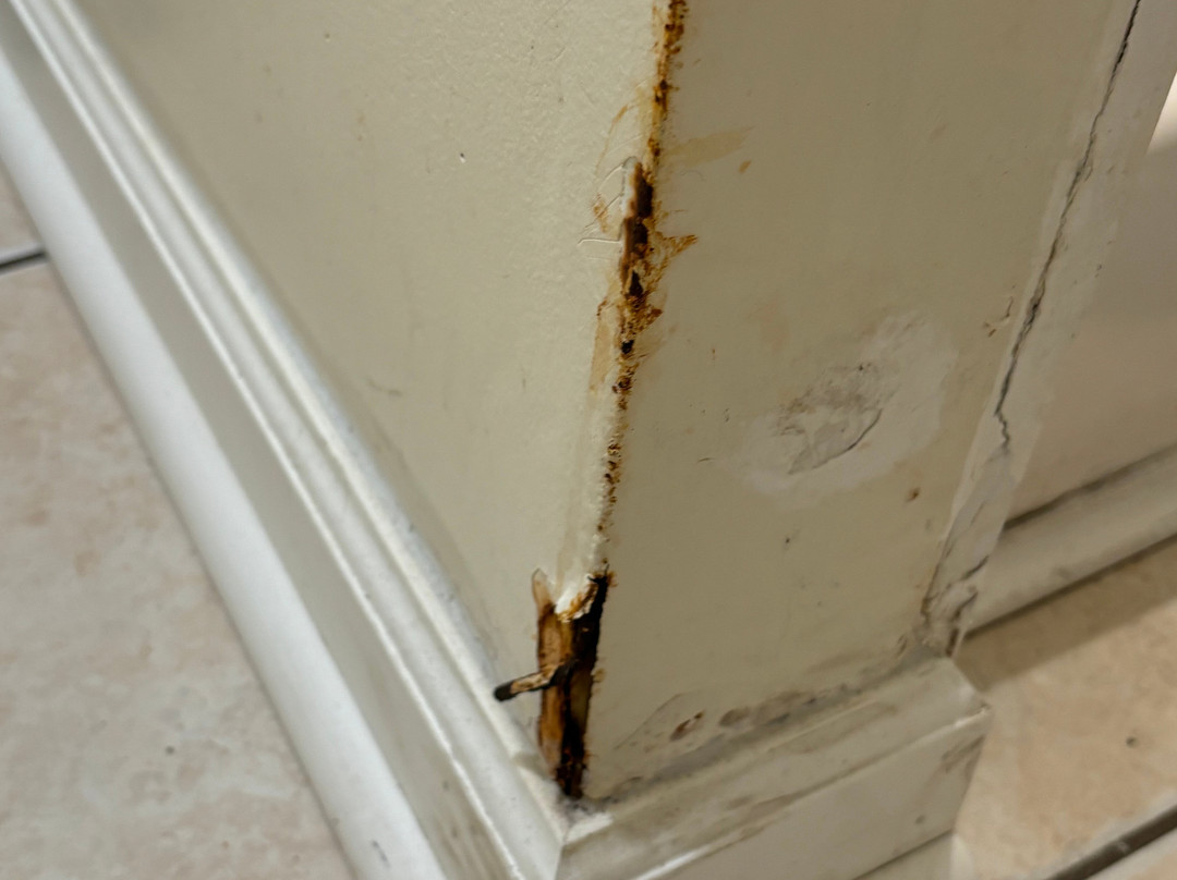 Sea Shell Motel主图