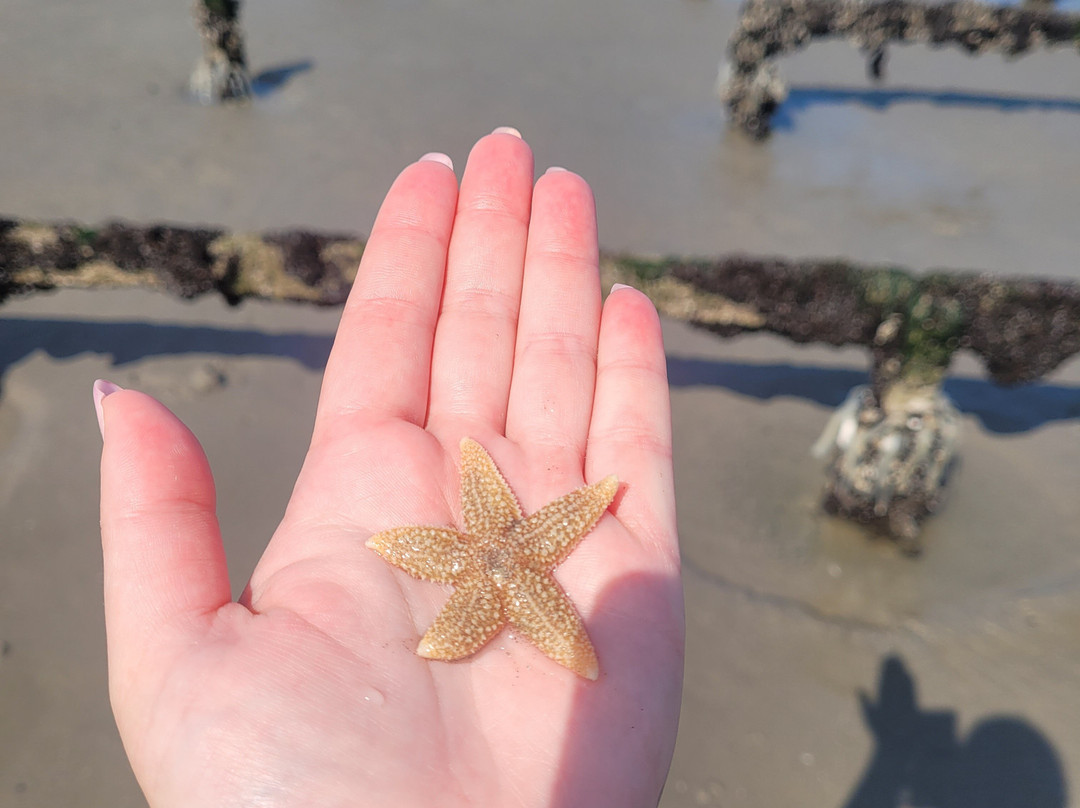 Norwoe Decouvertes-Saint-Quentin-en-Tourmont必去景点