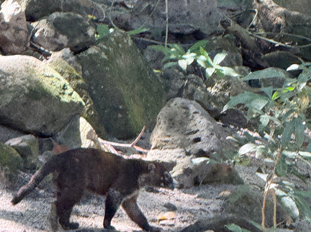 Transmila Transfers & Tours-塔马林多必去景点