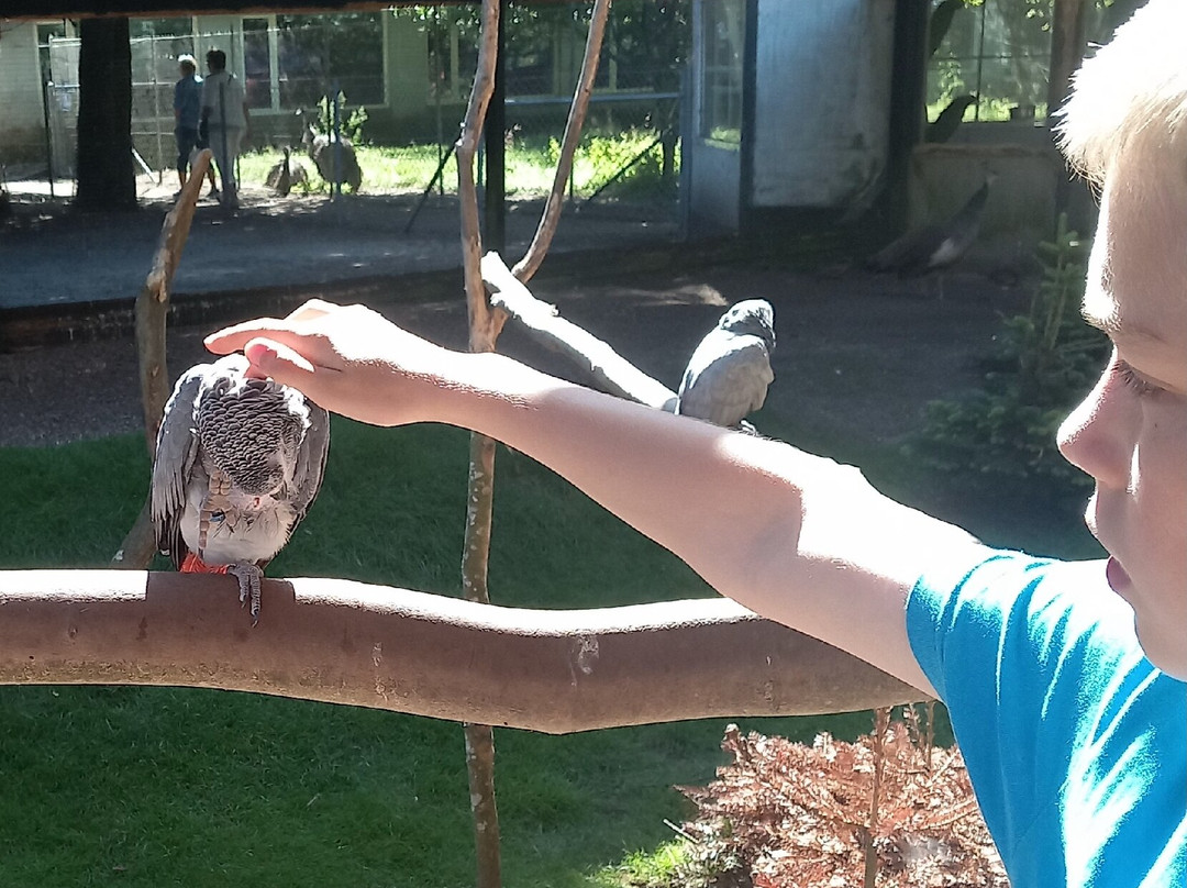 Dyrenes Verden Filskov Mini Zoo i Billund-格林斯泰兹必去景点