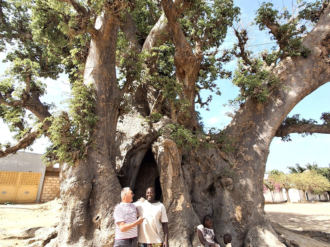 Excursions Départ Hôtel Riu Baobab-Ponto必去景点