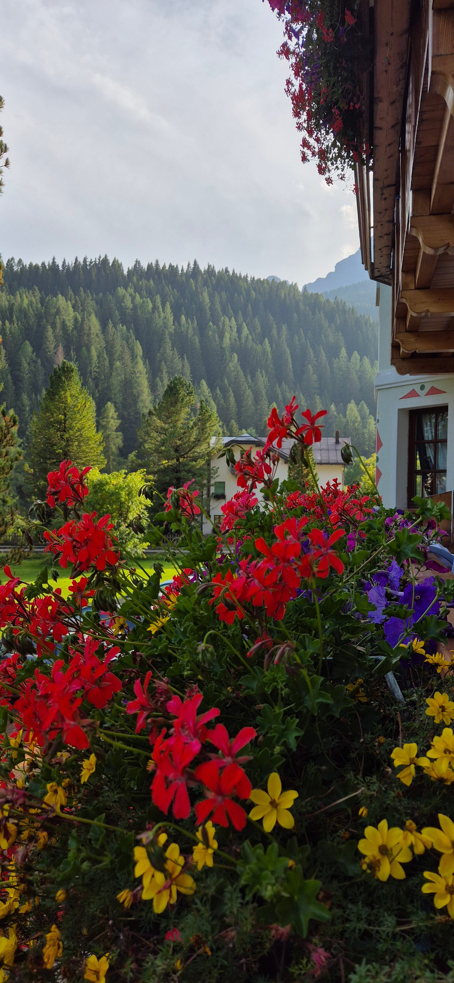 Hotel Edelweiss-官方