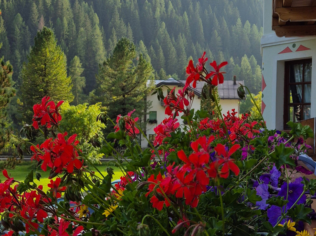 Hotel Edelweiss主图