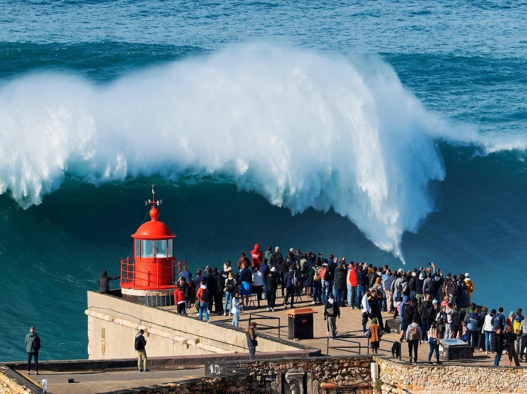 Recordtours-里斯本必去景点