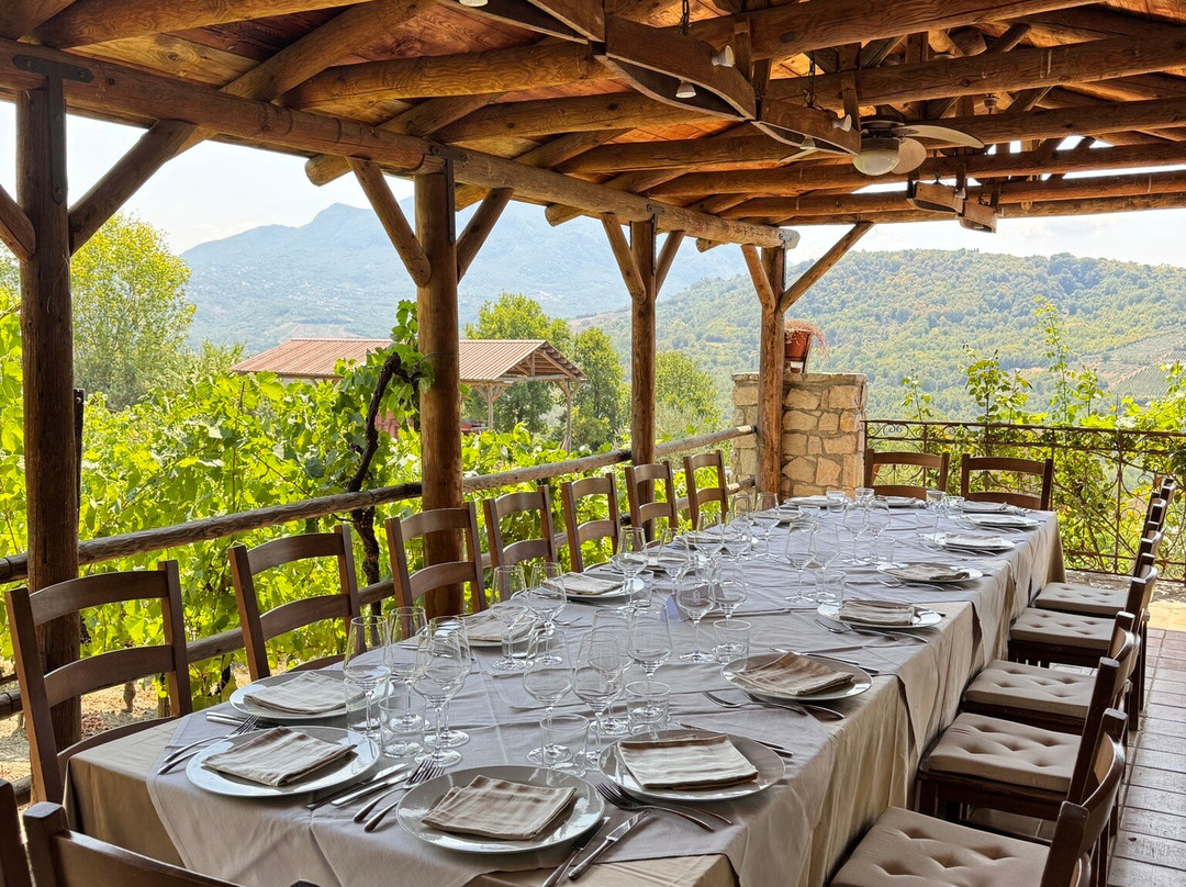 Cantine Antonio Caggiano-Taurasi必去景点