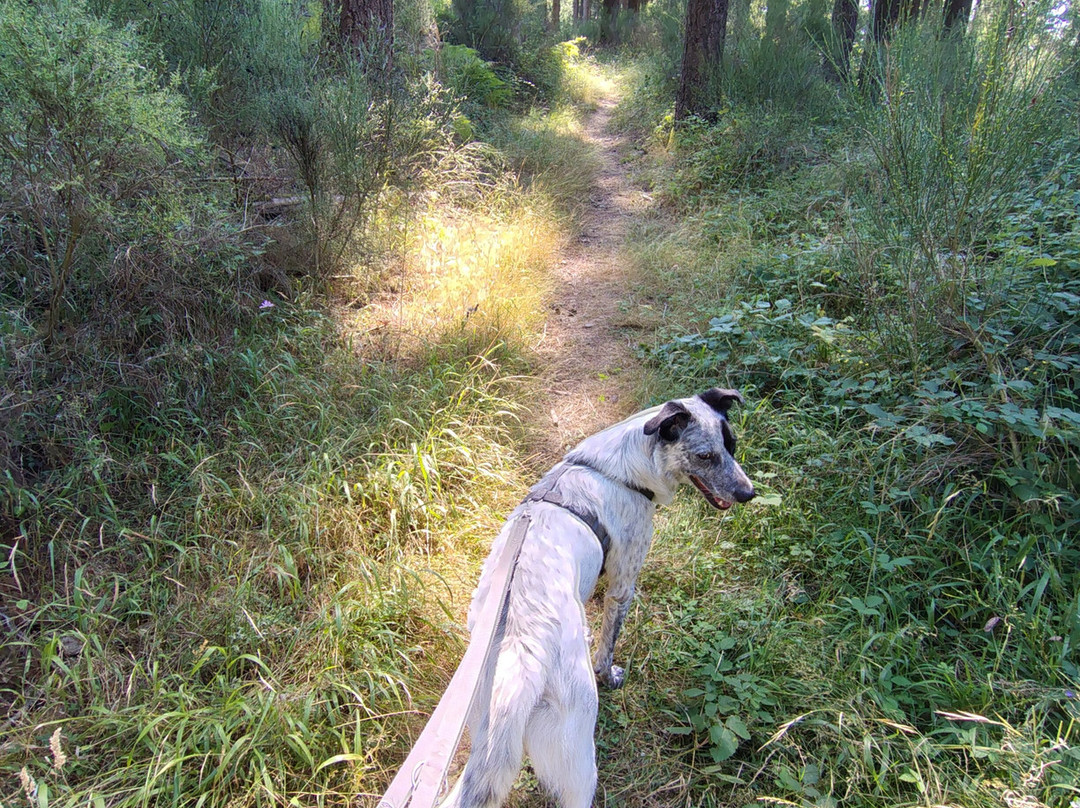 B&B Locanda L'Imposto主图