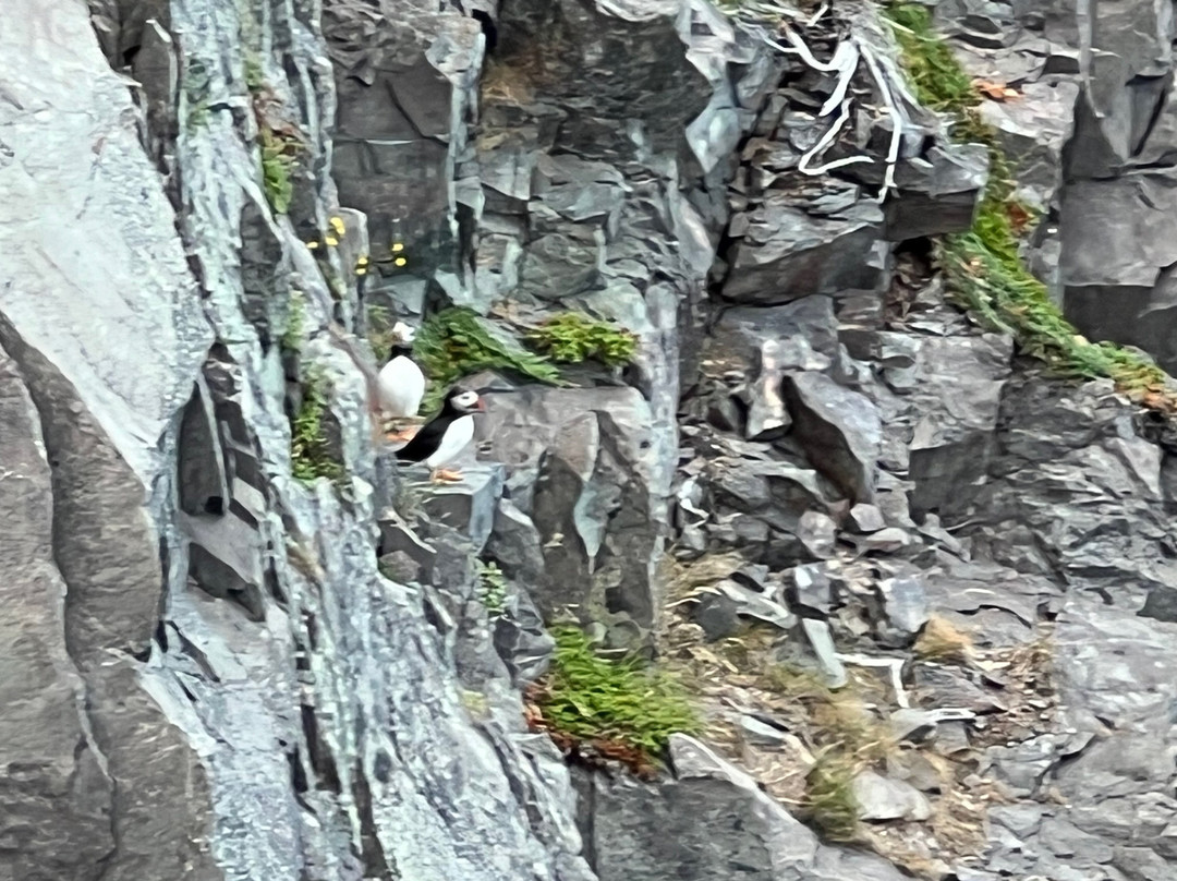 Spiller's Cove-Twillingate必去景点