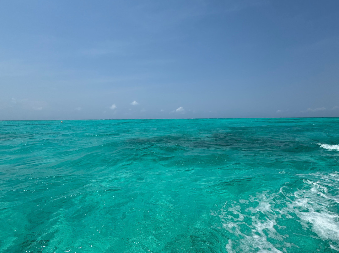 Zanzibar tours by Juma-Matemwe必去景点