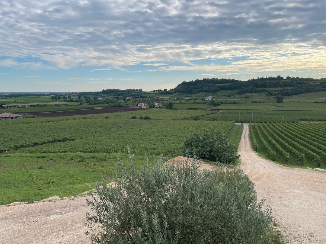 Tenuta Maule
