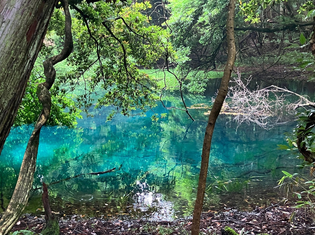 Maruiikesama Pond-游佐町必去景点