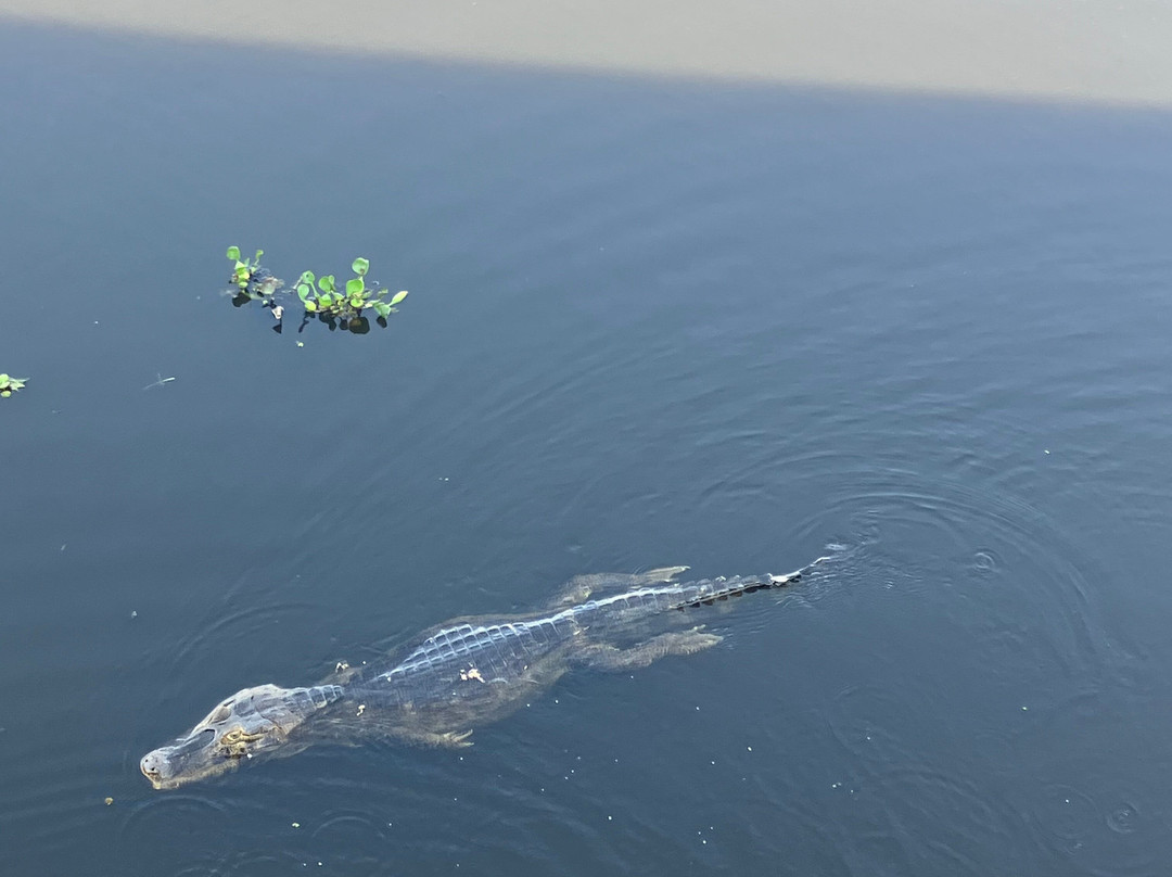 Buriti Viagens-Aquidauana必去景点