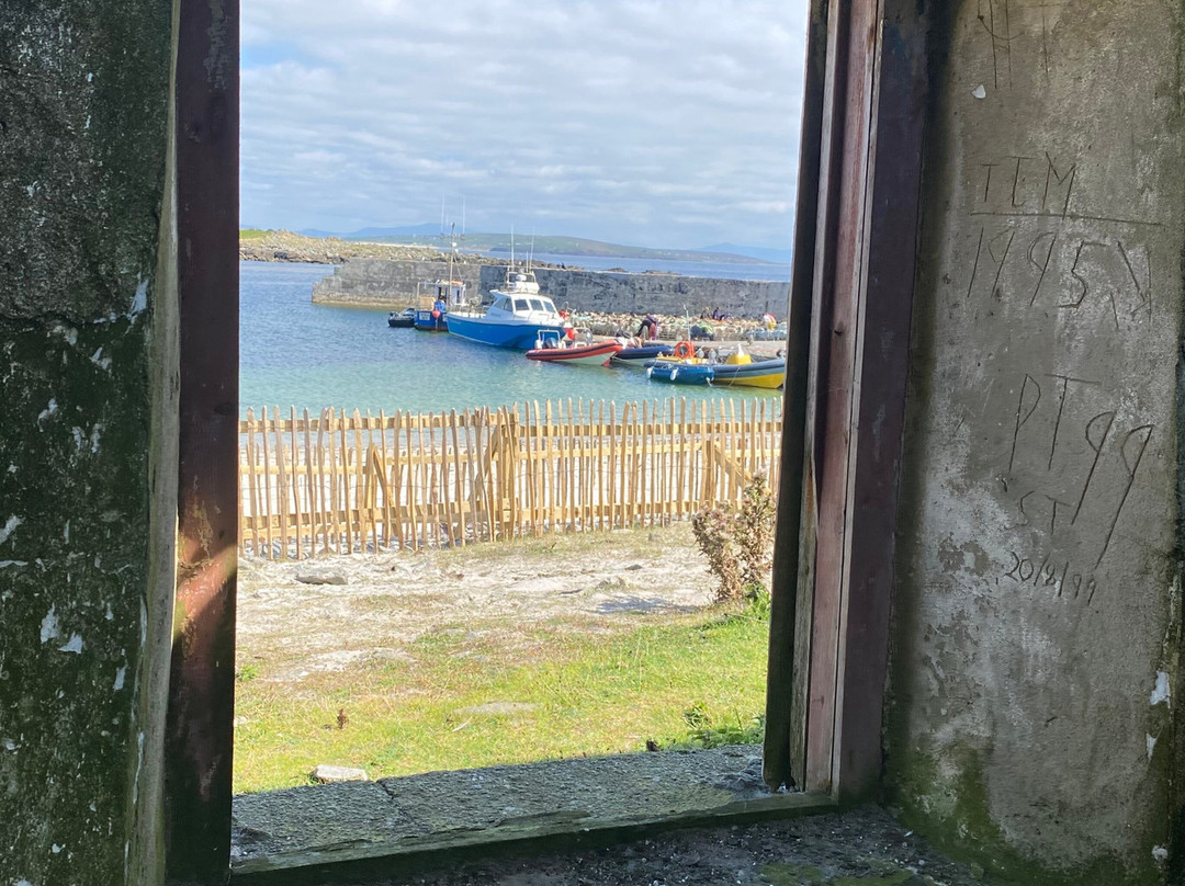 Blacksod Sea Safari-Belmullet必去景点