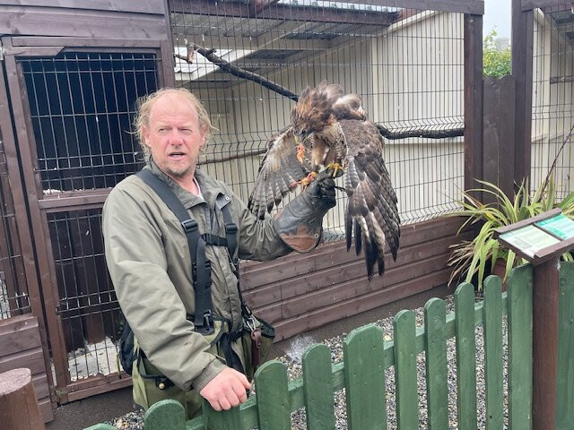 Mayfield Birds of Prey-Kilmacthomas必去景点