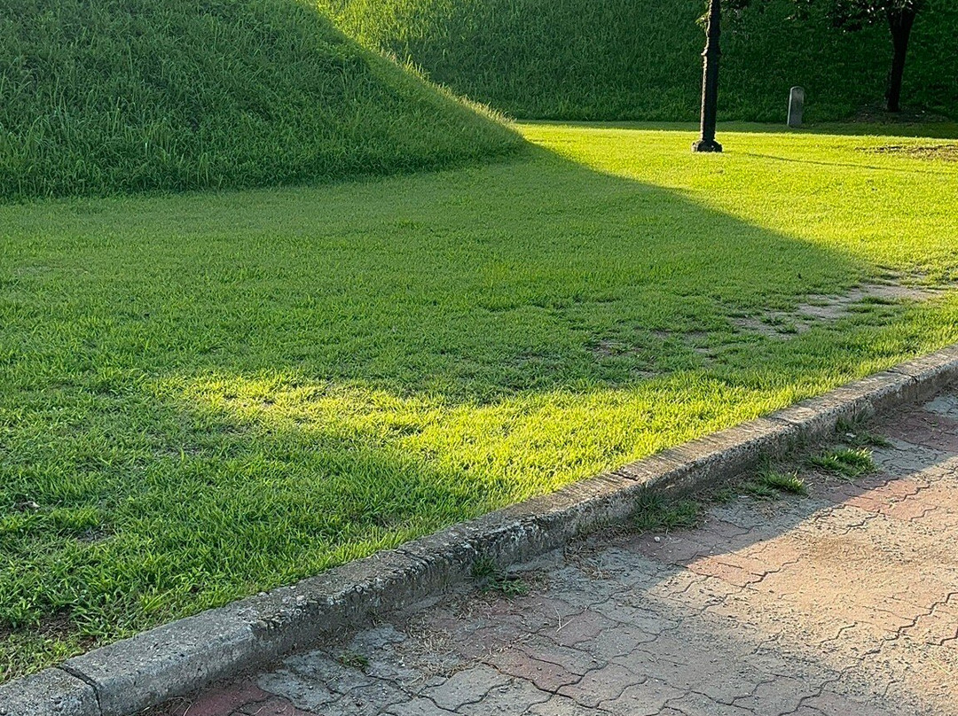 Daereungwon Tomb Complex-庆州市必去景点
