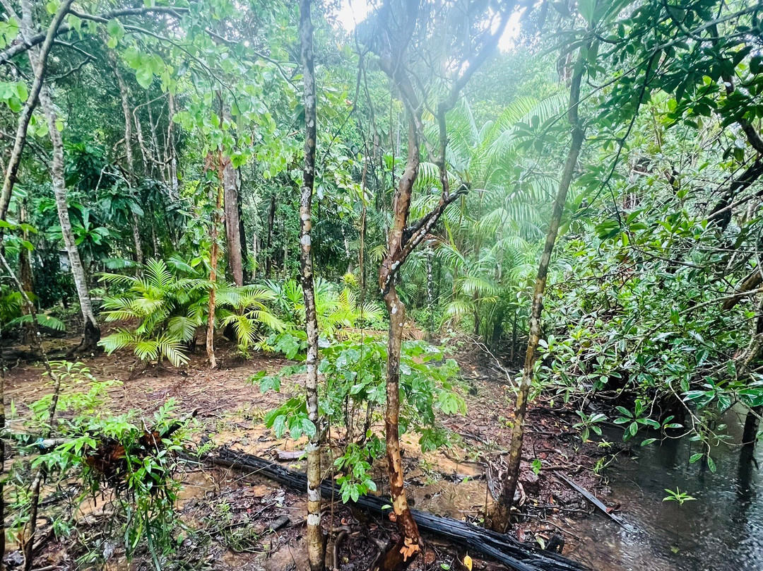 Prek Kongkang Koh Rong Ecotourism Community
