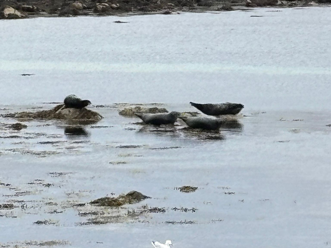 Baltasound Hotel主图