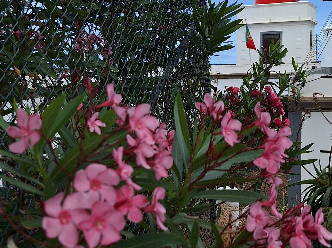 Ponta do Pargo Lighthouse-Ponta do Pargo必去景点