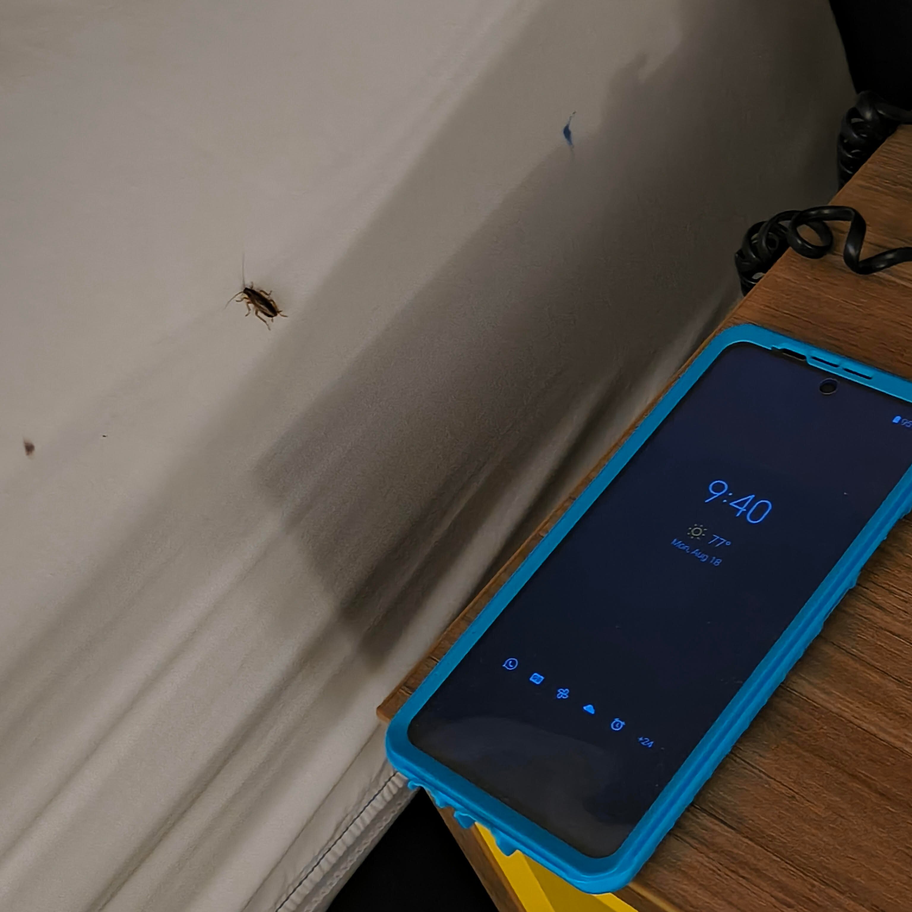 Days Inn by Wyndham Gainesville University I-75-官方