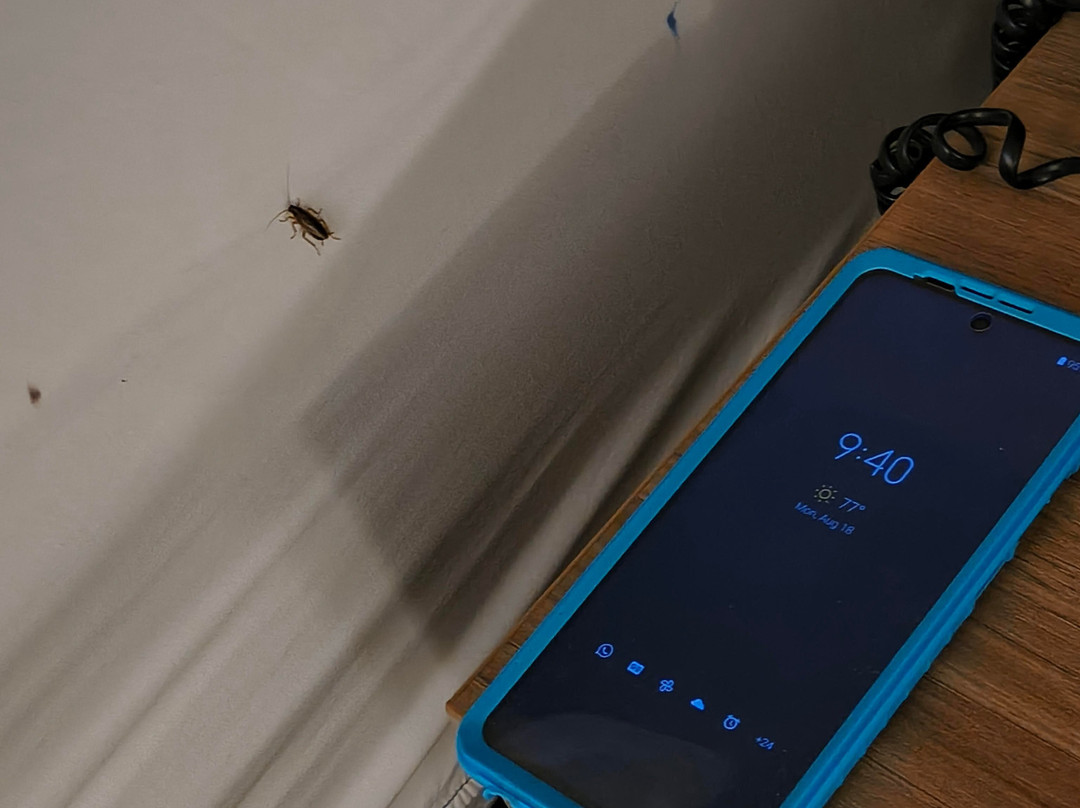 Days Inn by Wyndham Gainesville University I-75主图