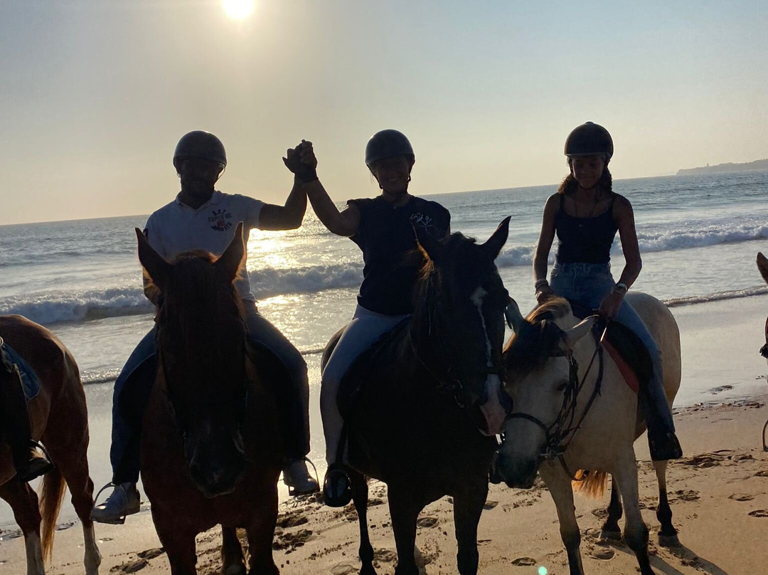 Eco Salgados Agroturismo-佩尼切必去景点