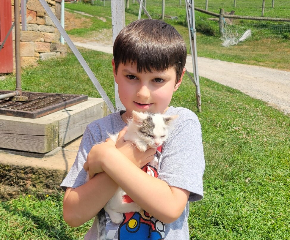 Yoder's Amish Home-Millersburg必去景点