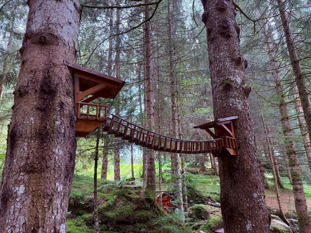 Hotel Da Barba B&B主图