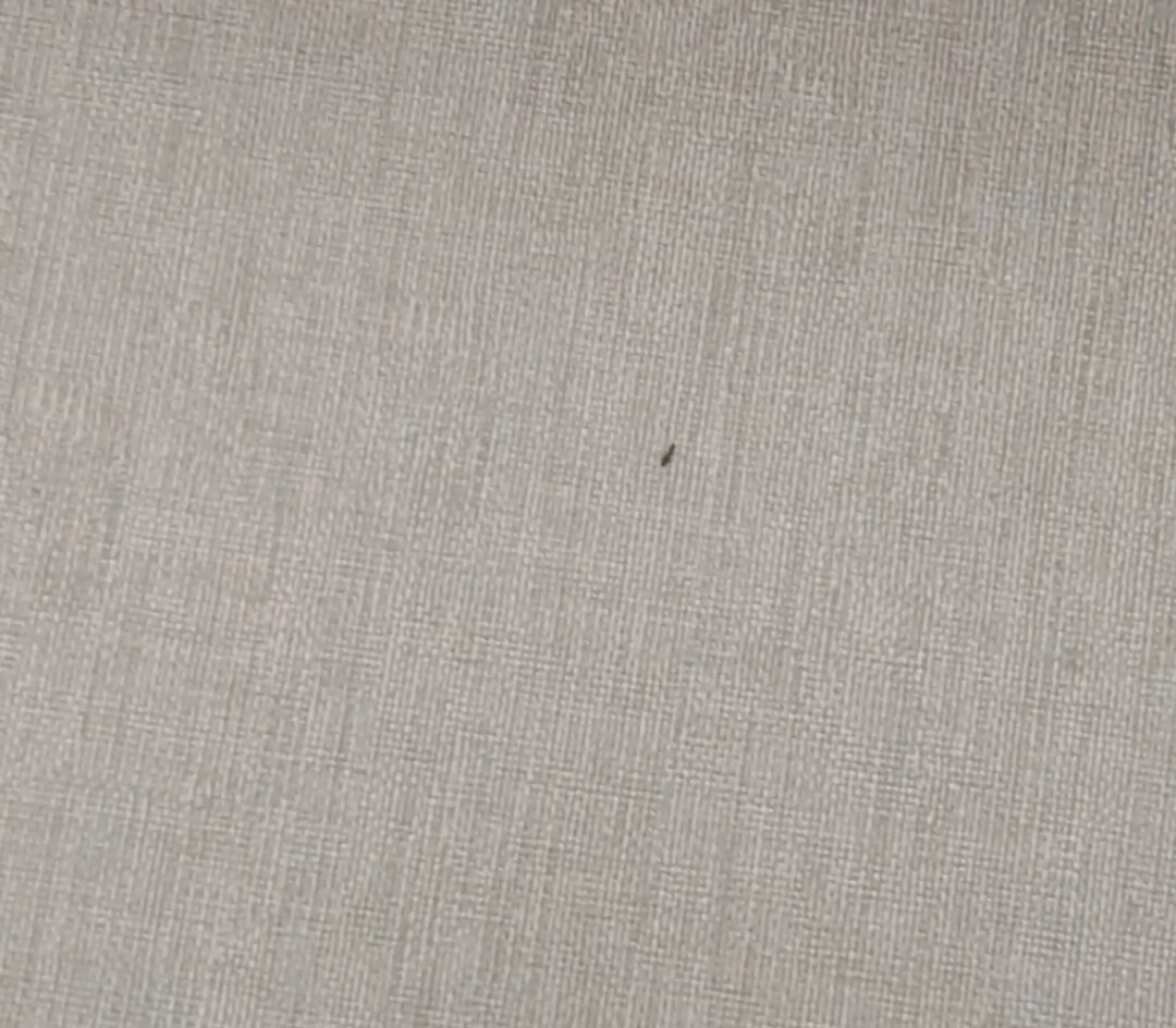 DoubleTree by Hilton Omaha Southwest-客卧