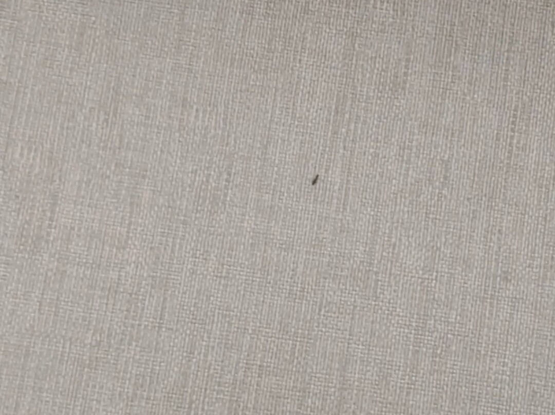 DoubleTree by Hilton Omaha Southwest主图