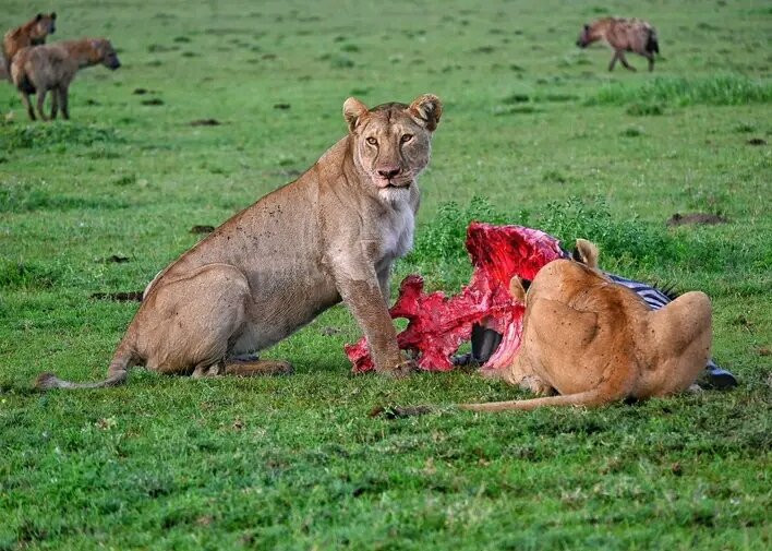 Stepclimb Adventures-莫西必去景点