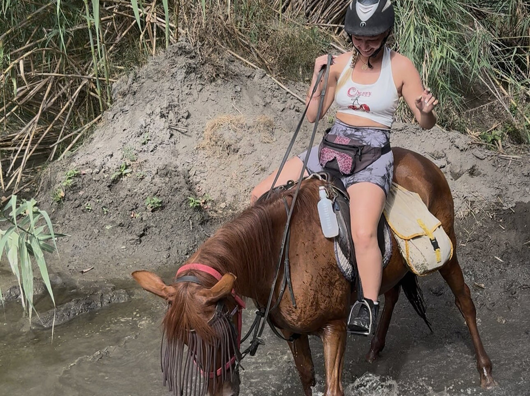 Pegasus Riding Centre-Orgiva必去景点