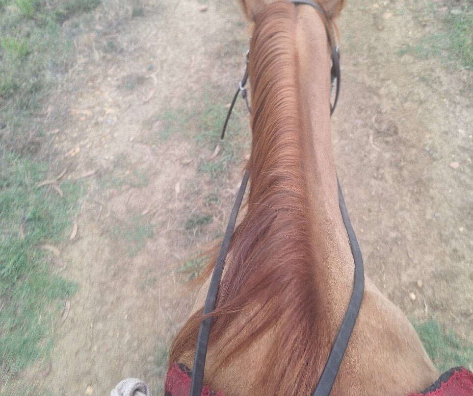 Ranch tavagna cavallu-Talasani必去景点