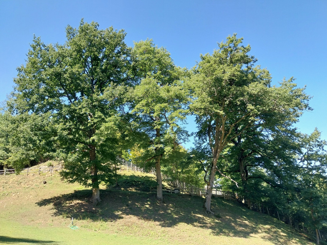 Oasi di Orie Terme